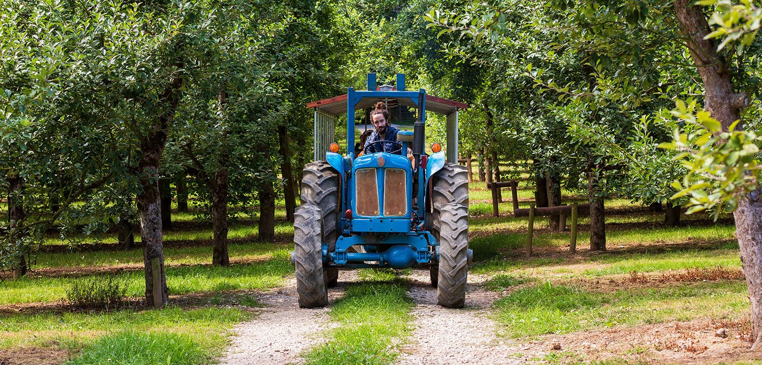 cider farm tours