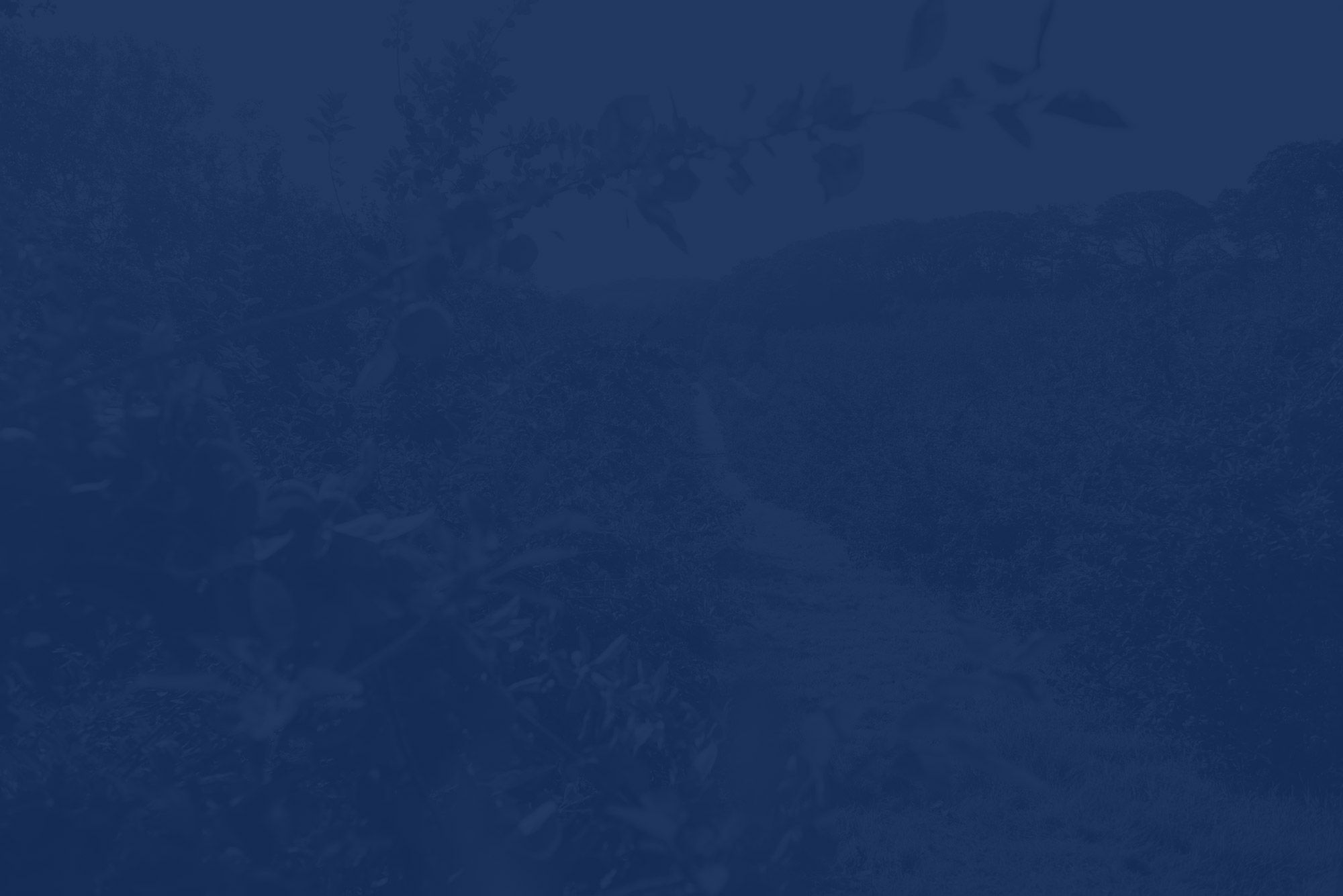 Blue Light & Military Discount