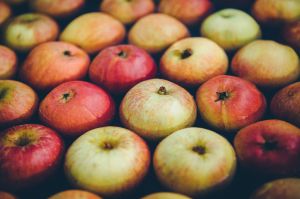 Press your own apples Cornwall
