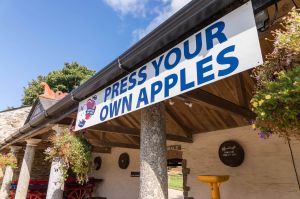 Press your own apples Cornwal