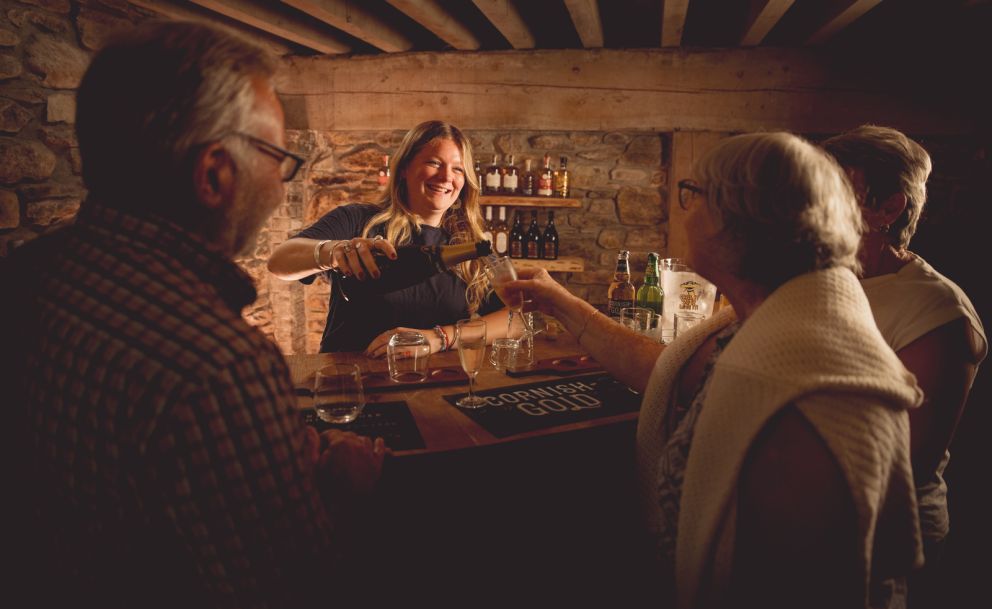 Full Healeys Experience