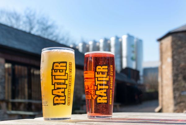 rattler cider